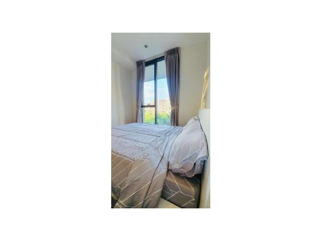 ฮาสุ เฮ้าส์ - Hasu Haus 1 Bedroom