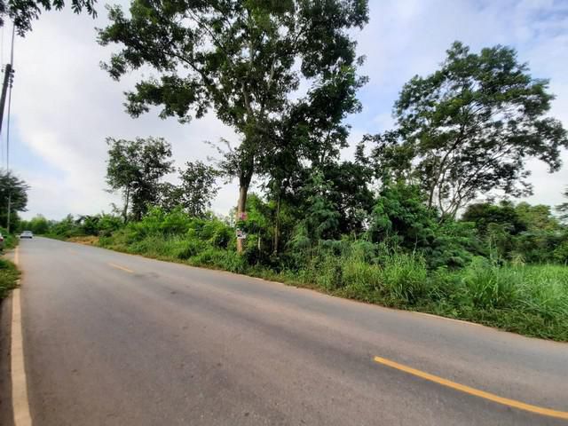 ขายที่ดินสวยเกาะขนุน 1 ไร่ ติดถนนลาดยาง ใกล้ถนน 3076 - 1 กม. พนมสารคาม ฉะเชิงเทรา