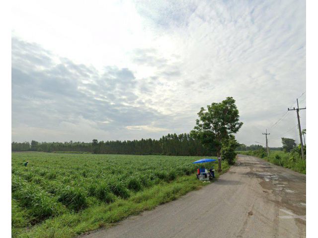 ขายที่ดินเกาะจันทร์ติดถนนลาดยาง 64 ไร่ ใกล้ถนนเส้นสัตหีบ-พนมสารคาม(331) - 4 กม ท่าบุญมี จ.ชลบุรี
