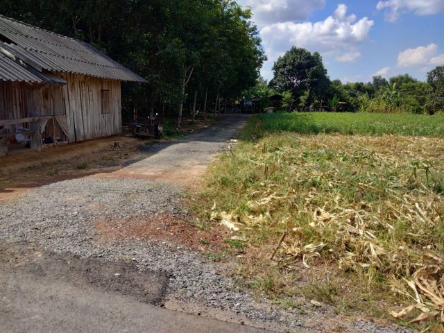 ที่ดินแบ่งขายพนมสารคาม 67.7 ตรว. ติดถ.ซอยบ้านห้วยกล่ เกาะขนุน ฉะเชิงเทรา