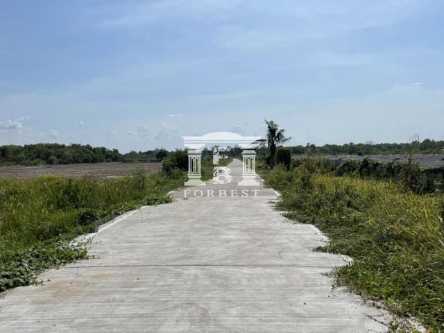 41830 ขายที่ดินต่ำกว่าตลาด ! คลองสาม คลองหลวง ปทุมธานี