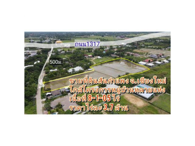 ขายที่ดินสันกำแพง เส้นสันกำแพงสายใหม่(สาย1317) เนื้อที่ 8-1-05 ไร่ ที่ดินทำเลดี เหมาะทำจัดสรร