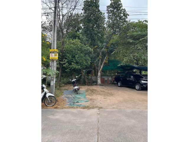 ที่ดินเปล่าชุมชนในชากบึง 60ตรว. ตรว.ละ 25,000 บาท ต.บึง อ.ศรีราชา จ.ชลบุรี