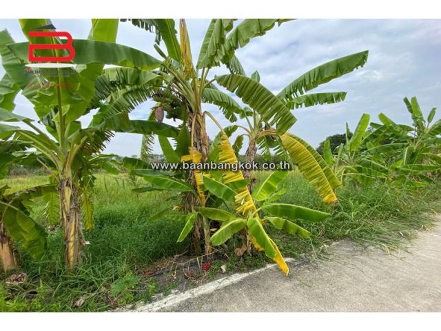 ที่ดินเปล่า คลองสาม-คลองหลวง ซ.คลองสาม 9/2 เนื้อที่ 3-1-82 ไร่ อ.คลองหลวง จ.ปทุมธานี