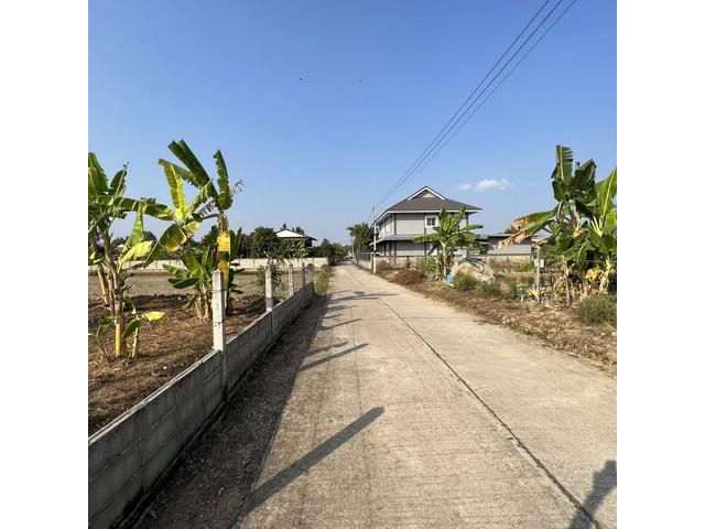 ที่ดิน บ้านปางลาว ตำบลบ้านดู่