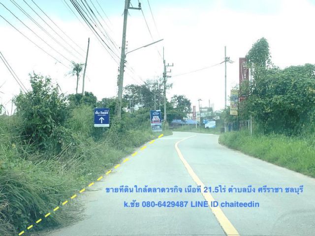 ##ขายที่ดินผังเมือง EEC เนื้อที่ 21.5ไร่ ติดถนน 200เมตร ลึก 160เมตร ตำบลบึง ##