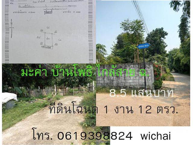 ที่ดินโฉนติดถนนคอนกรีตไกล้ถนน สาย ฉ.เลี่ยงเมือง โคราช 1 งานเศษ  8.5 แสนพร้อมโอน