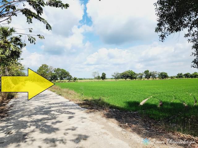 ขายที่ดินติดถนนคอนกรีต คลอง 11 หนองเสือ 9 ไร่