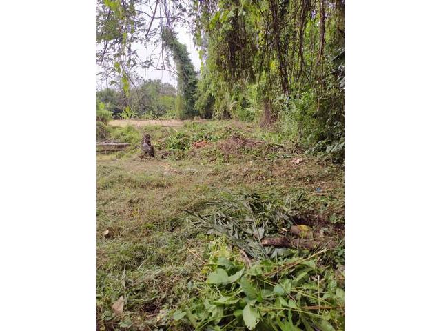 ขายที่ดิน เนื้อที่ 856 ตรว.ถ.บางศรีเมือง นนทบุรี