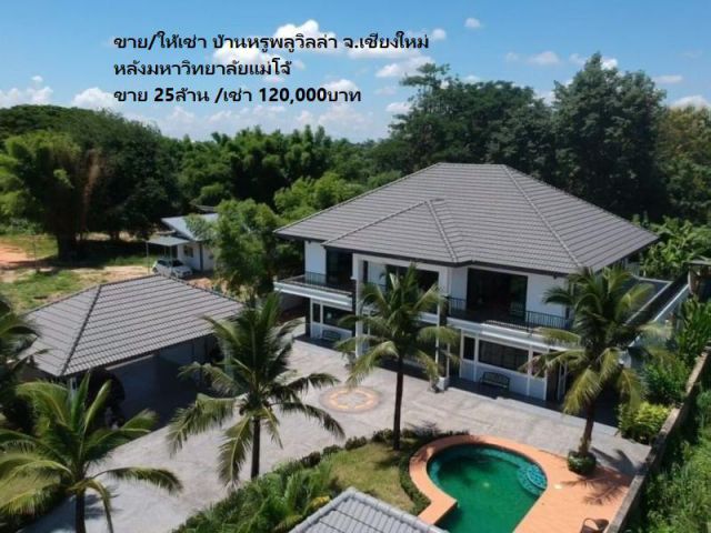 ขายบ้านหรูพลูวิลล่า จ.เชียงใหม่ #บ้านให้เช่าสันทราย หลังมหาวิทยาลัยแม่โจ้ ขาย 25ล้าน /เช่า 120,000บาท