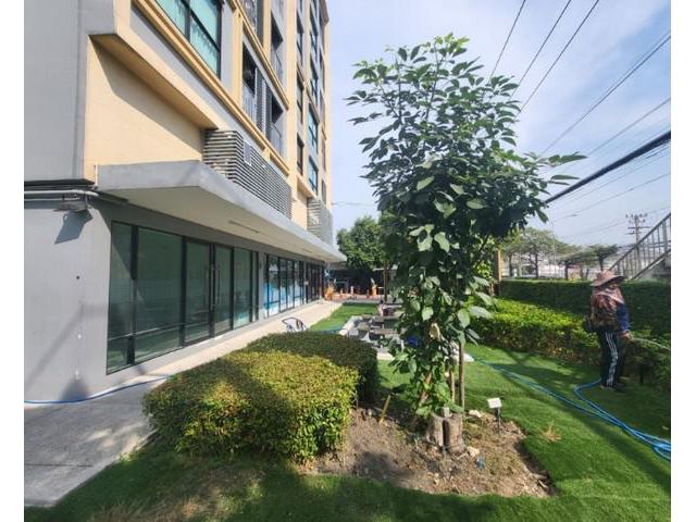 ให้เช่าพื้นที่ 40 ตรม  ลำลูกกา4