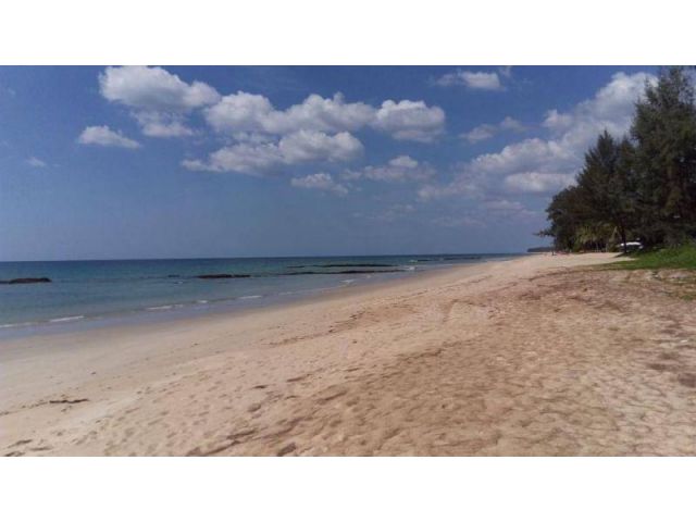 The 3 rai land for sale at Natai located near Iniala Beach house and near the Pine villa