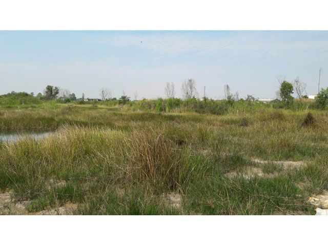 ขายที่ดิน 1 ไร่ ผังเมืองสีชมพู ต.คลองสาม อ.คลองหลวง จ.ปทุมธานี