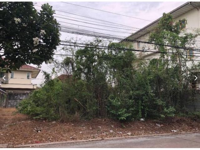 ขายด่วน ที่ดินสวย ปากเกร็ด จังหวัดนนทบุรี ทำเลดี
