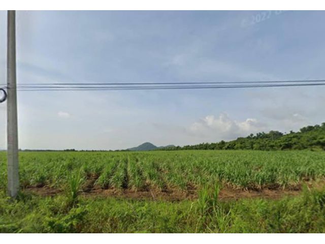 ที่ดินม่วงลายบ้านบึง 2,200ไร่ ไร่ละ 1.5 ล้าน ต. หนองอิรุณ อ.บ้านบึง จ. ชลบุรี