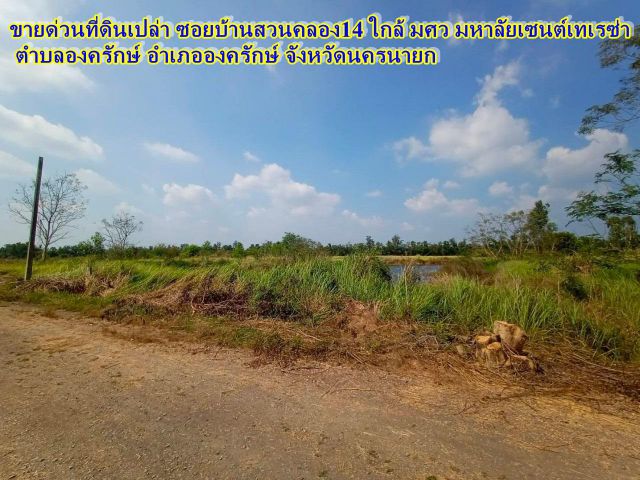 ขายด่วนที่ดินเปล่า ซอยบ้านสวนคลอง14 ใกล้ มศว มหาลัยเซนต์เทเรซ่า องครักษ์ นครนายก