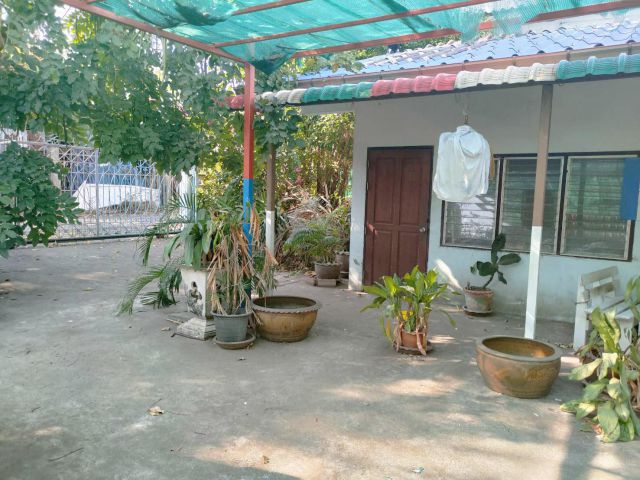ที่ดินเปล่า ซ.พหลโยธิน58 ใกล้สถานีรถไฟฟ้าคูคต