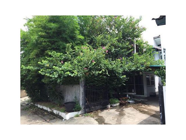 U1227 ให้เช่าบ้านเดี่ยว 2 ชั้นย่านลาดพร้าว117/8 หมู่บ้านเสนานิเวศน์ 1  มีบริเวณบ้าน มีเฟอร์ในบ้าน เข้าออกได้หลายทาง ทำเล