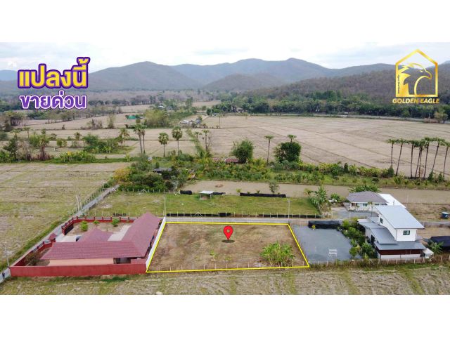 ขายที่ดิน 211 ตร.ว. (ใกล้ถนนตัดใหม่ 500 เมตร สาธารณูปโภคครบ)
