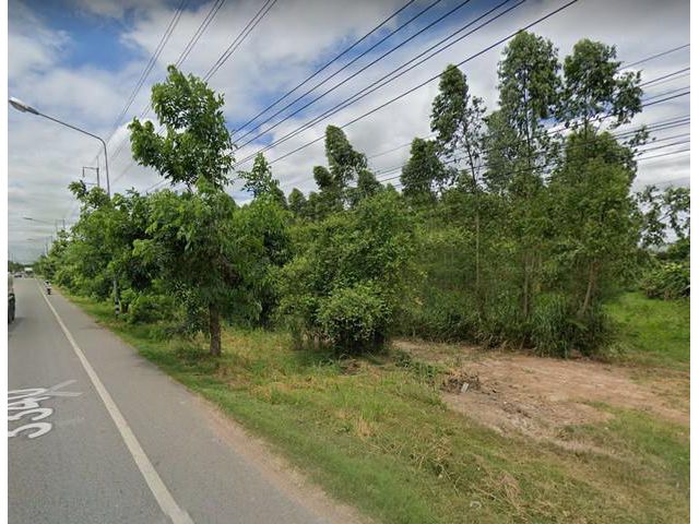 ขายที่ดินบ่อทอง 1 ไร่ หน้ากว้างติดถนนเส้น 3340 17 เมตร ใกล้ถ.เส้น(331)และแยกหนองเสม็ด - 4 กม. จ.ชลบุรี