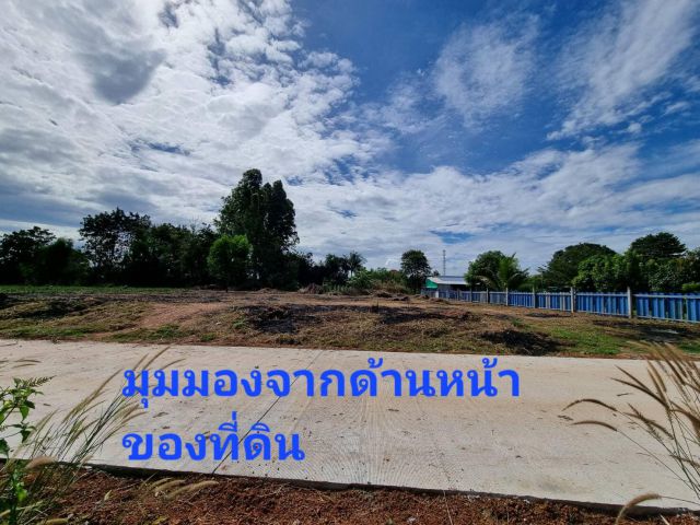 ขายที่ดินสวยถมแล้ว เนื้อที่3งาน เนินหิน(พนัสนิคมชลบุรี)
