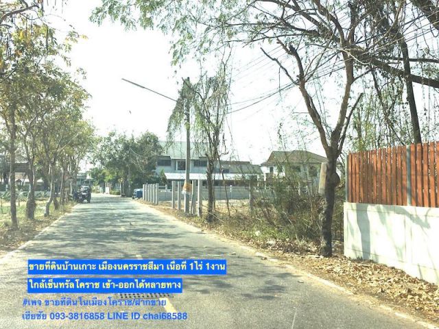 ขายที่ดินบ้านเกาะใกล้เซ็นทรัลโคราช เนื้อที่ 1-1-0ไร่ ใกล้ห้างโกลบอลล์เฮ้าส์ในเมืองโคราช
