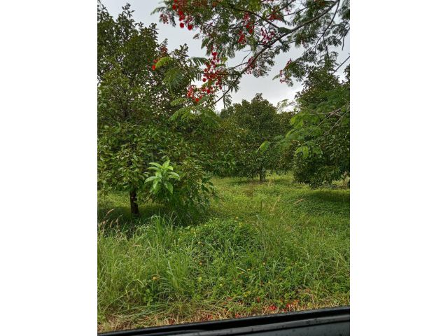 ขายที่ดินในโครงการ แรบบิซ อิล รีสอร์ท จันทบุรี