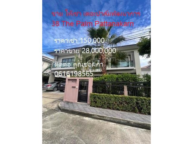 PO1463ขาย เดอะปาล์มพัฒนาการ 38  28,000,000