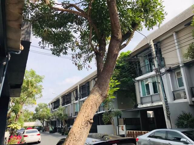 [H292]ทาวน์โฮม อารียา เดลี่ เกษตร-นวมินทร์