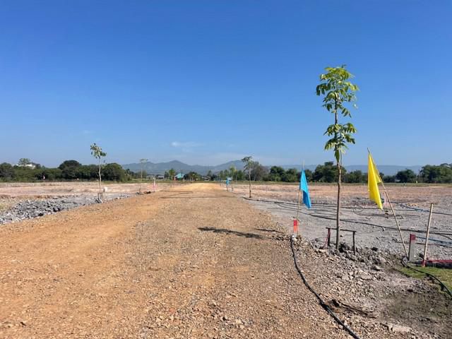 ที่ดินแบ่งขายสด/ผ่อนพรหมณี เริ่มต้น 195 ตรว. ใกล้ถ.เส้นสุวรรณศร 33 - 450 เมตร เมืองนครนายก