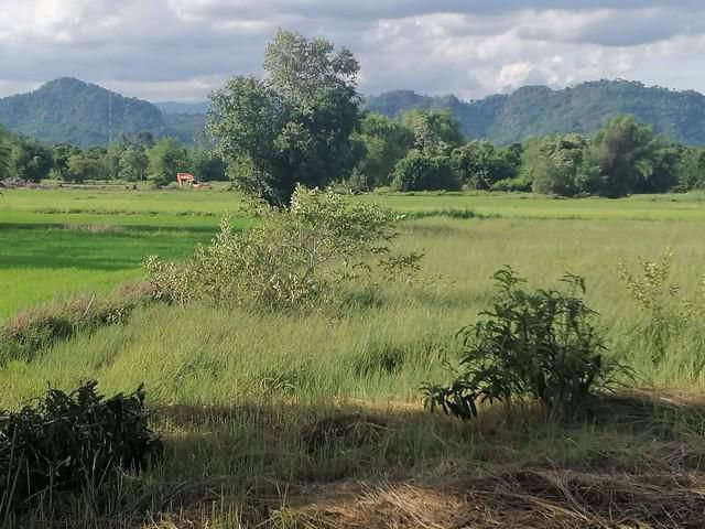 ขายที่ดินพรหมณีถมแล้ว วิวเขา 300 ตรว. ใกล้แยกช้างและถ.สุวรรณศร 33 - 3.1 กม. อ.เมือง จ.นครนายก