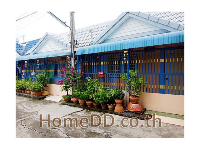 ขายด่วน ทาวน์เฮ้าส์ชั้นเดียว ซอยอยู่สุข บางเมือง สมุทรปราการ T-6261
