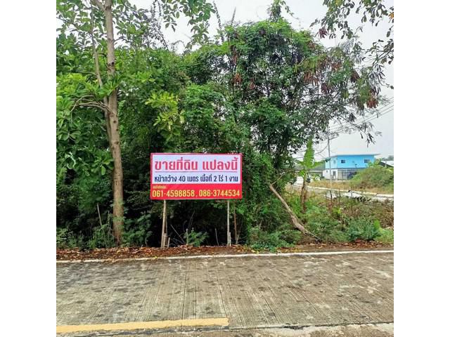 ที่ดินไทรน้อยทวีวัฒนา