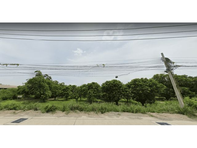 L296 ขายที่ดินสวยทำเลดี เนื้อที่ 3 ไร่ เมืองชลบุรี | ที่ดินร้อยแปด.คอม