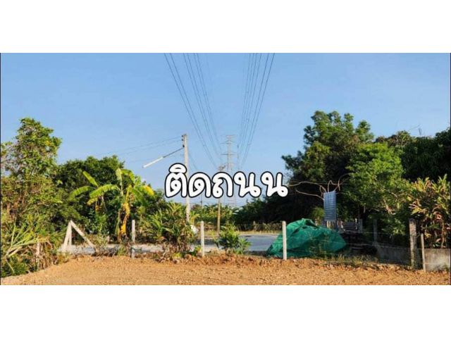 ที่ดิน348ตรว. ผังแดง ใกล้เซนทรัลระยอง