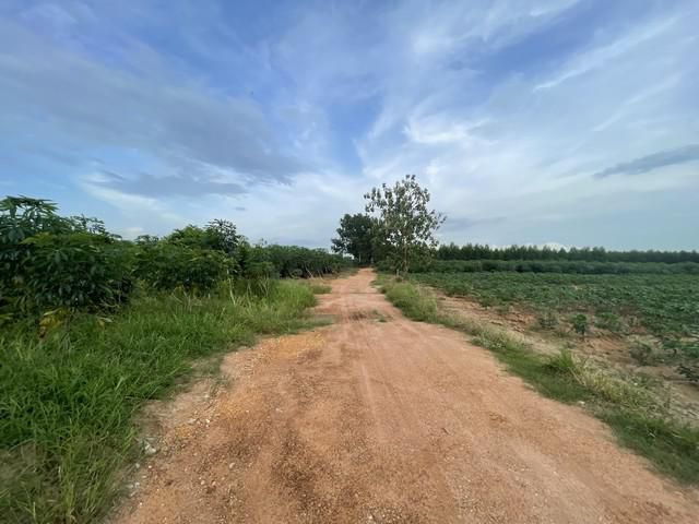 ขายที่ดินผ่อนได้ ราคาถูกๆ 4 ไร่แหลมตะคร้อ ใกล้ตลาดสดเกาะขนุนเพียง 4 กม. พนมสารคาม จ.ฉะเชิงเทรา