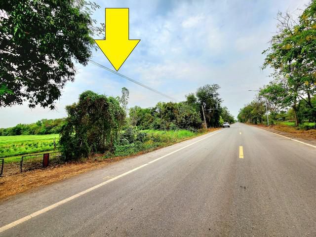 ขายที่ดินติดถนนลาดยางเรียบคลอง คลอง 11 หนองเสือ