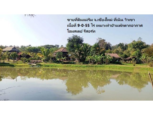 ขายที่ดินแม่ริม จ.เชียงใหม่ ที่เนิน วิวเขา เนื้อที่ 9-0-55 ไร่ เหมาะทำบ้านพักตากอากาศ โฮมสเตย์ รีสอร์ท