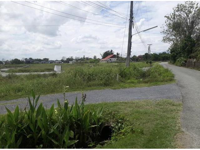 S00966 ขายที่ดิน บ้านร้องขี้เหล็ก ดอยสะเก็ด