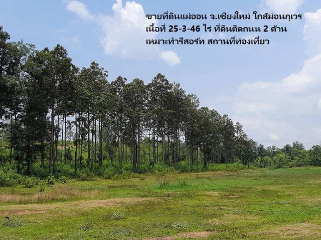 ขายที่ดินแม่ออน ใกล้ม่อนกุเวร เนื้อที่ 25-3-46 ไร่ ที่ดินติดถนน 2 ด้าน เหมาะทำรีสอร์ท สถานที่ท่องเที่ยว