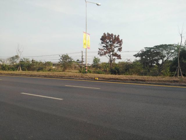 ขายที่ดิน8ไร่ ติดถนนมะลิวัลย์ สำหรับทำโชว์รูมรถยนต์ ห้างสรรพสินค้า