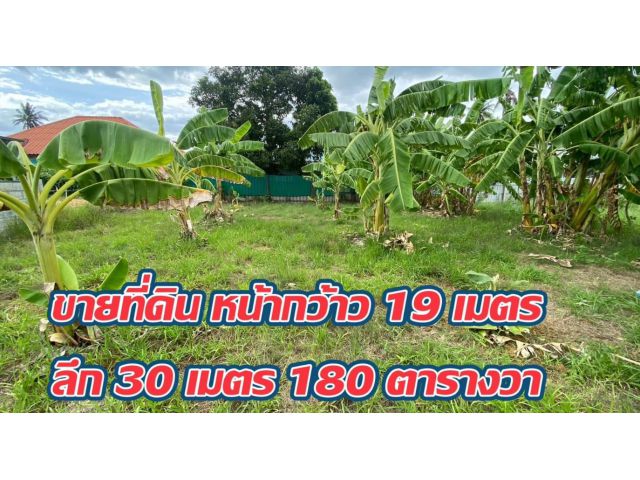 ที่ดินเปล่า180ตรว. หมู่ 3 ต.วังตะกู