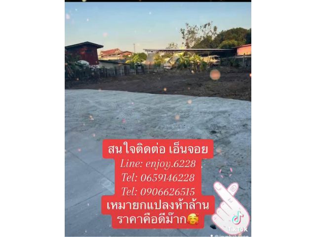 ลดราคาต้องการใช้เงินด่วนที่หลังวัดท้ายดอน 366ตรว. เหลือ 5ล้าน (เฉพาะเดือนนี้เท่านั้นเฉลี่ยตรว.ละ 13,360บ.)