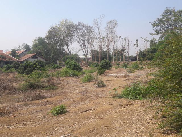 ขายที่ดินติดน้ำปิง 2 ไร่ 8 ล้าน