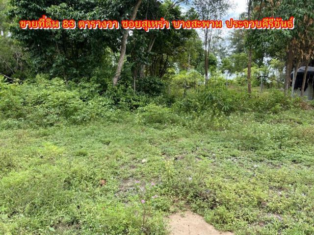 ที่ดินสวยทำเลดี ใกล้ทะเล ซอยสุเหร่า 83 ตร.ว.