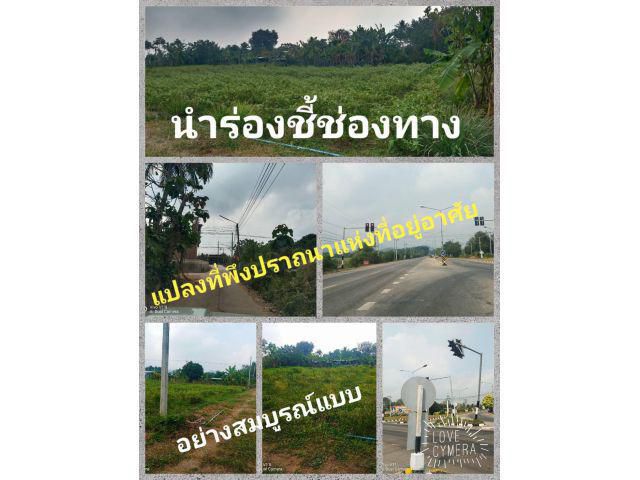 ทุกมุมมองของพื้นที่ แปลง1ไร่2งานใกล้เทศบาล ใกล้แยกไฟแดง แยกหนองสองห้อง ใกล้ใกล้ร้านวัสดุก่อสร้าง ความสะดวกสบายเป็นเป้าหมายของใครทุกคน