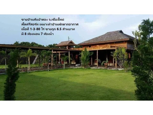 ขายบ้านสันป่าตอง จ.เชียงใหม่ สไตล์รีสอร์ท เหมาะทำบ้านพักตากอากาศ รีสอร์ท ร้านสปา เนื้อที่ 1-3-80 ไร่