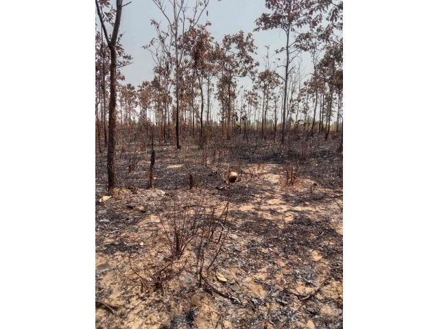 ขายที่ดิน 47-0-43ไร่  บ้านหนองปิง ตำบลสาวะถี จังหวัดขอนแก่น