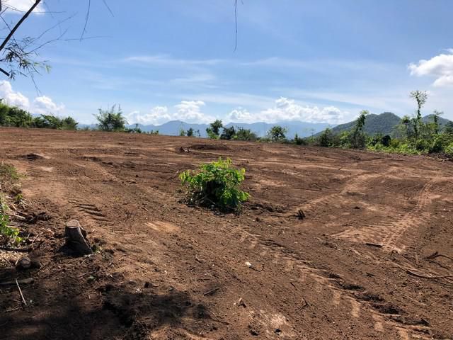 ที่เปล่าป่าซางลำพูนเนื้อที่ 39 ไร่