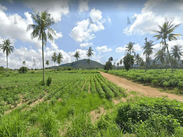 ขาย ที่ดินเปล่า เหมาะสำหรับทำเกษตรกรรมและการเพาะปลูก 2 ไร่